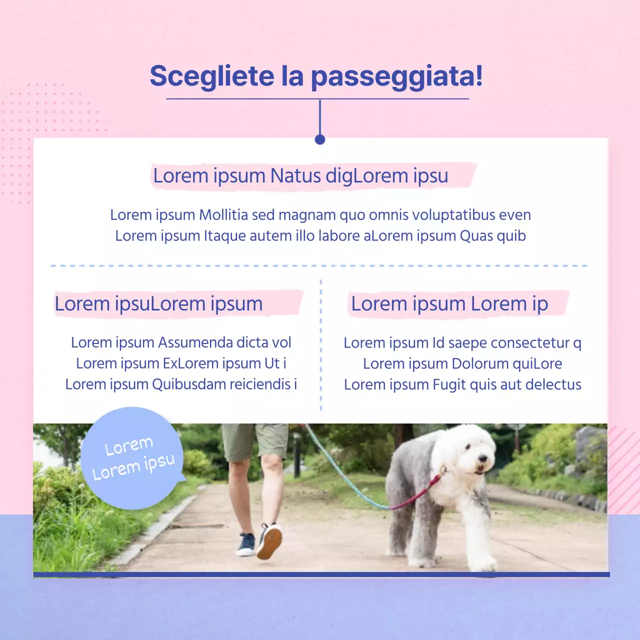 Guida alla cura del vostro cucciolo rosa e azzurro