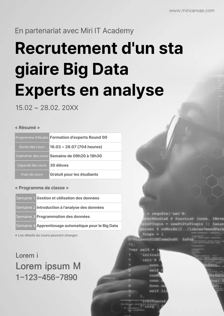 Recrutement d'experts pour former des professionnels de l'analyse des big data avec un bagage gris IT Academy