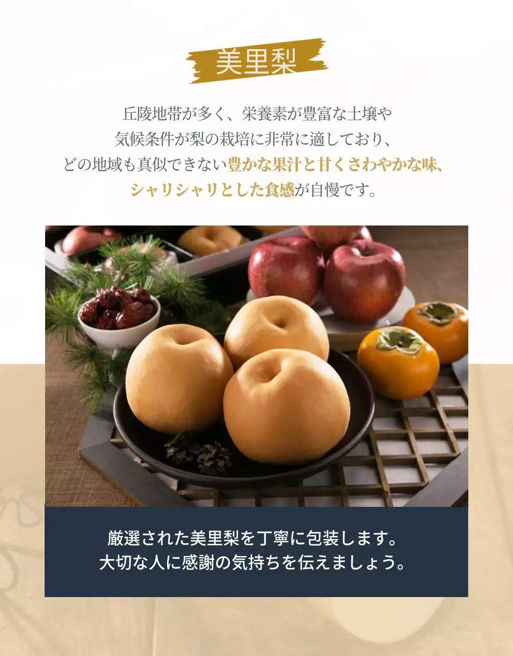 茶色 シンプル フルーツ パンフレット 詳細ページ