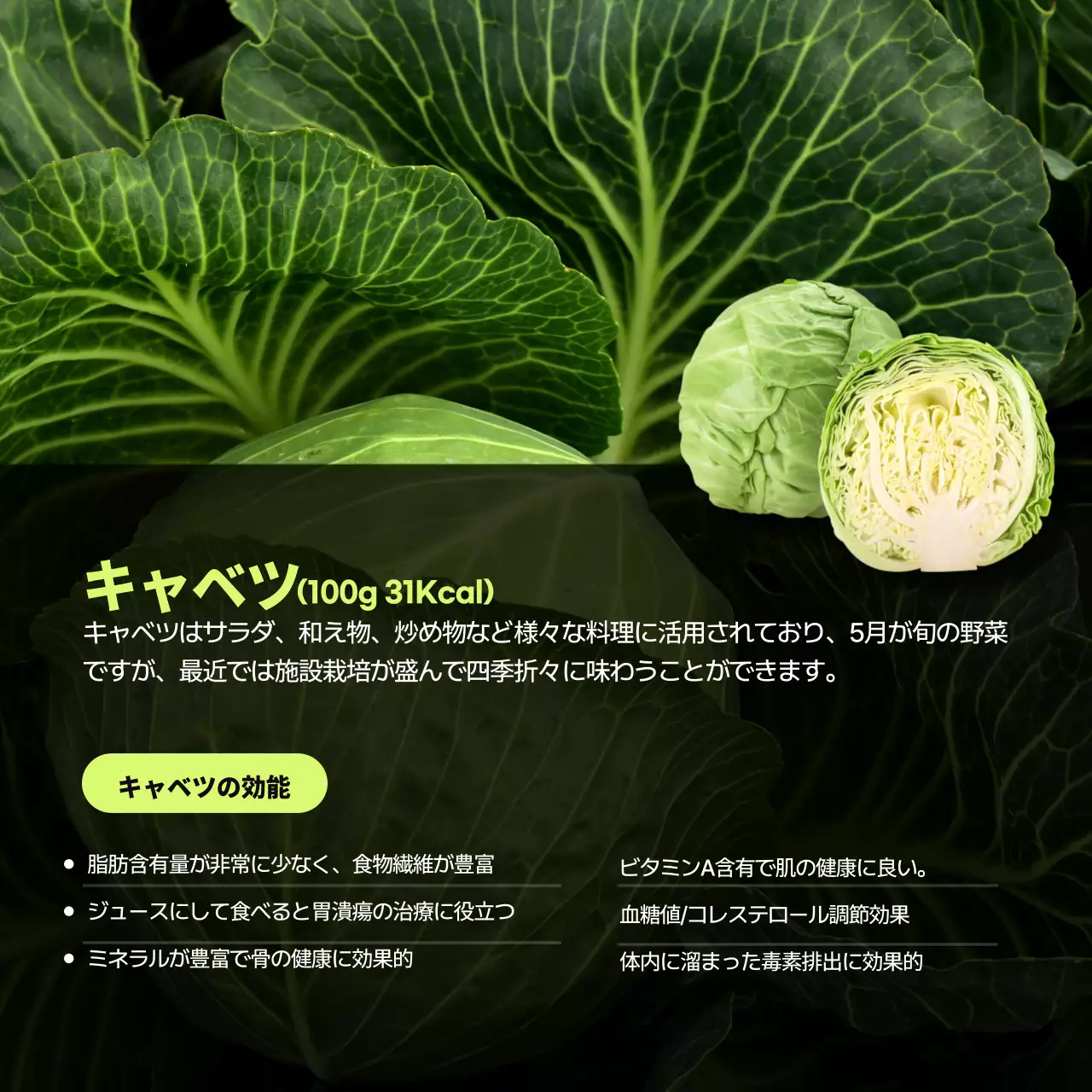 カラフル オシャレ 食材 ポスター Instagram カルーセル