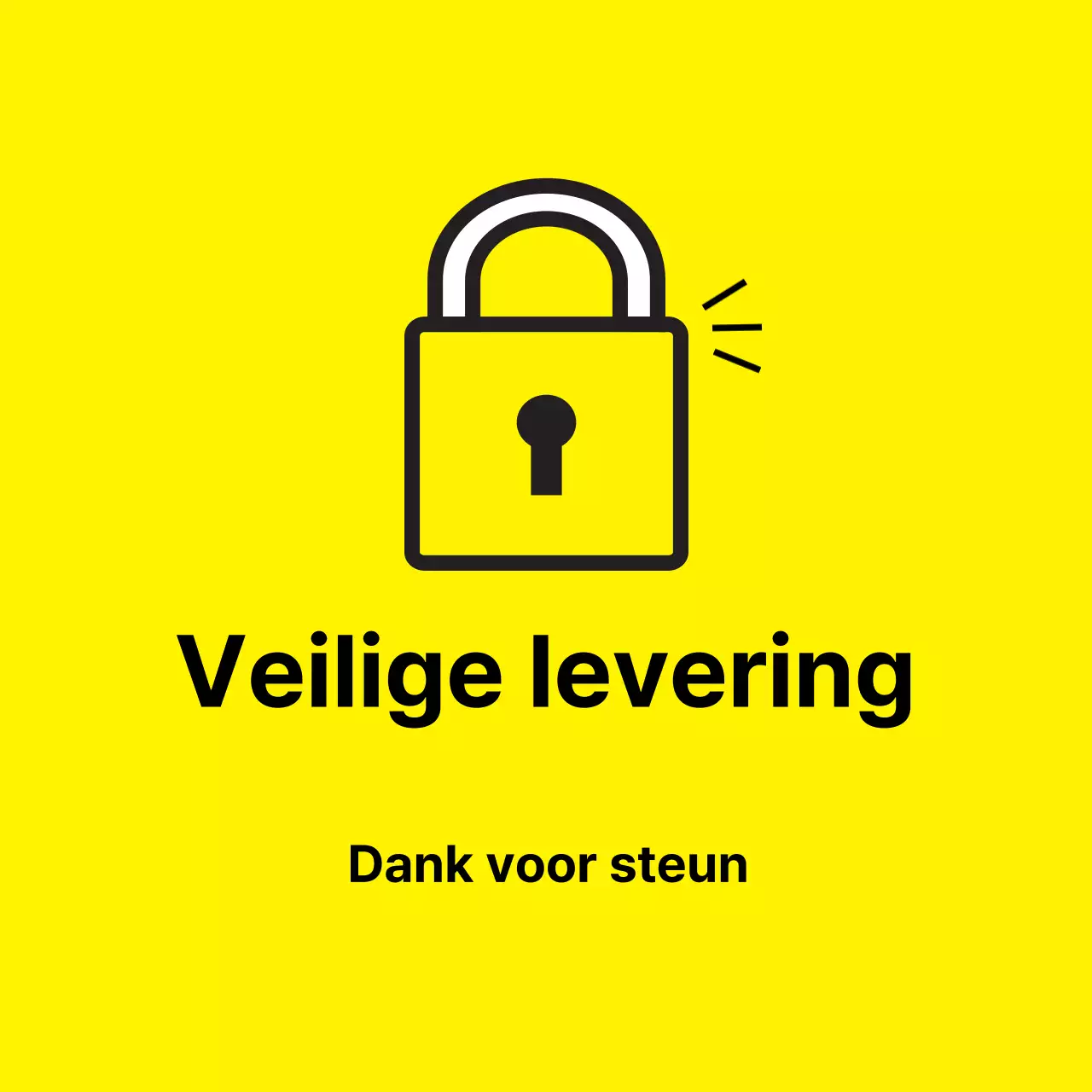 45211/Veiligde levering