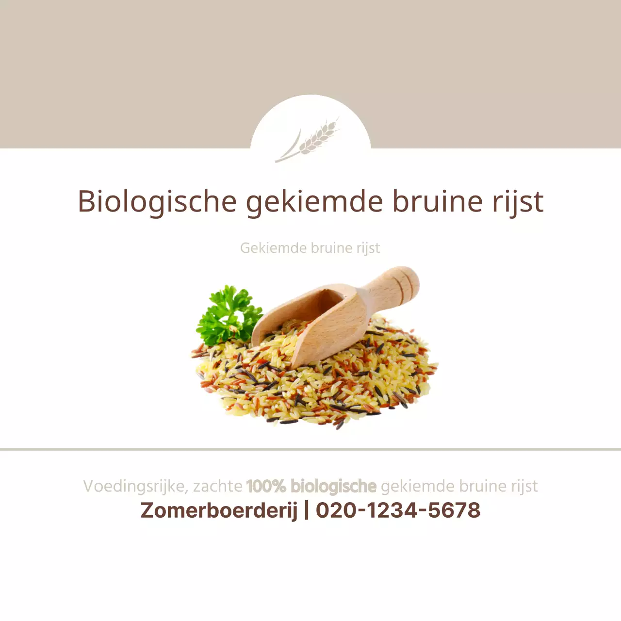 Gekiemde bruine rijst