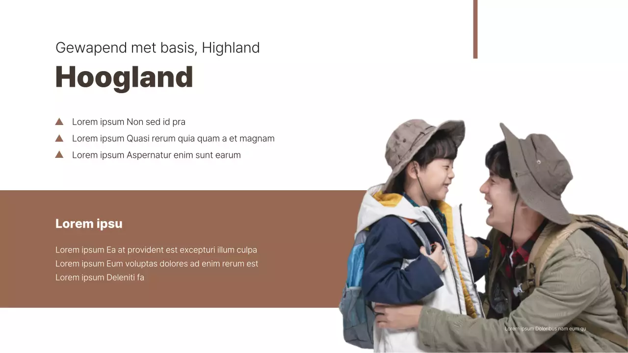 Bruin en eenvoudig voor het presenteren van casestudy's