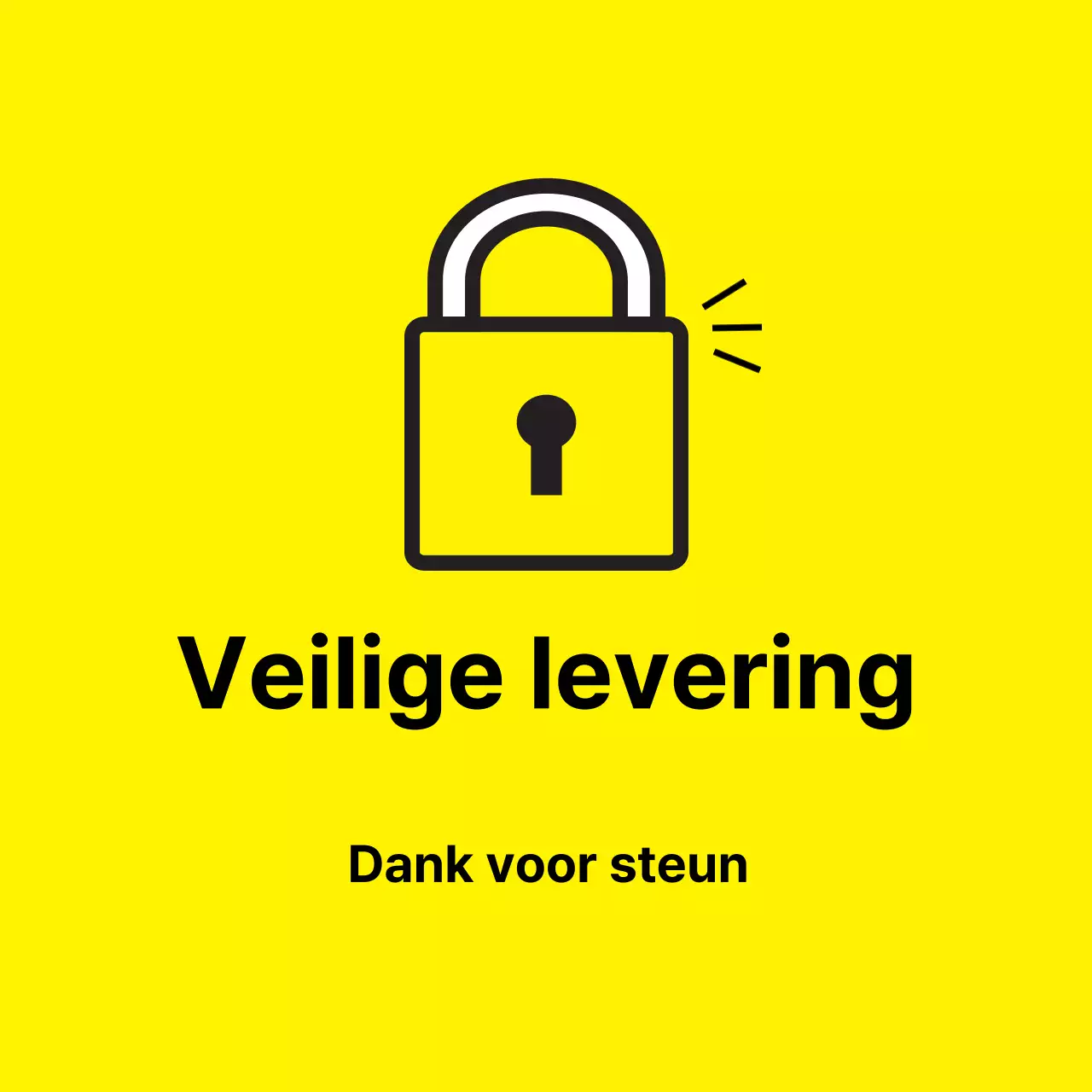 45193/Veiligde levering