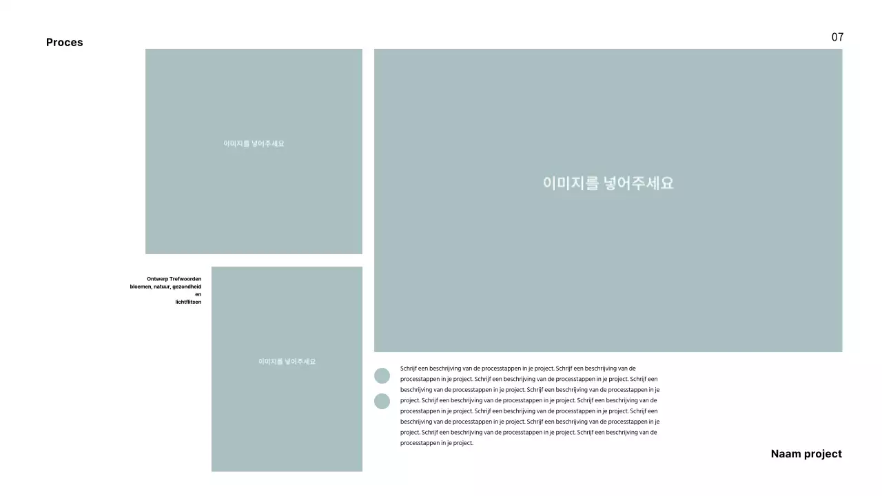 Portfolio met een frisse lay-out