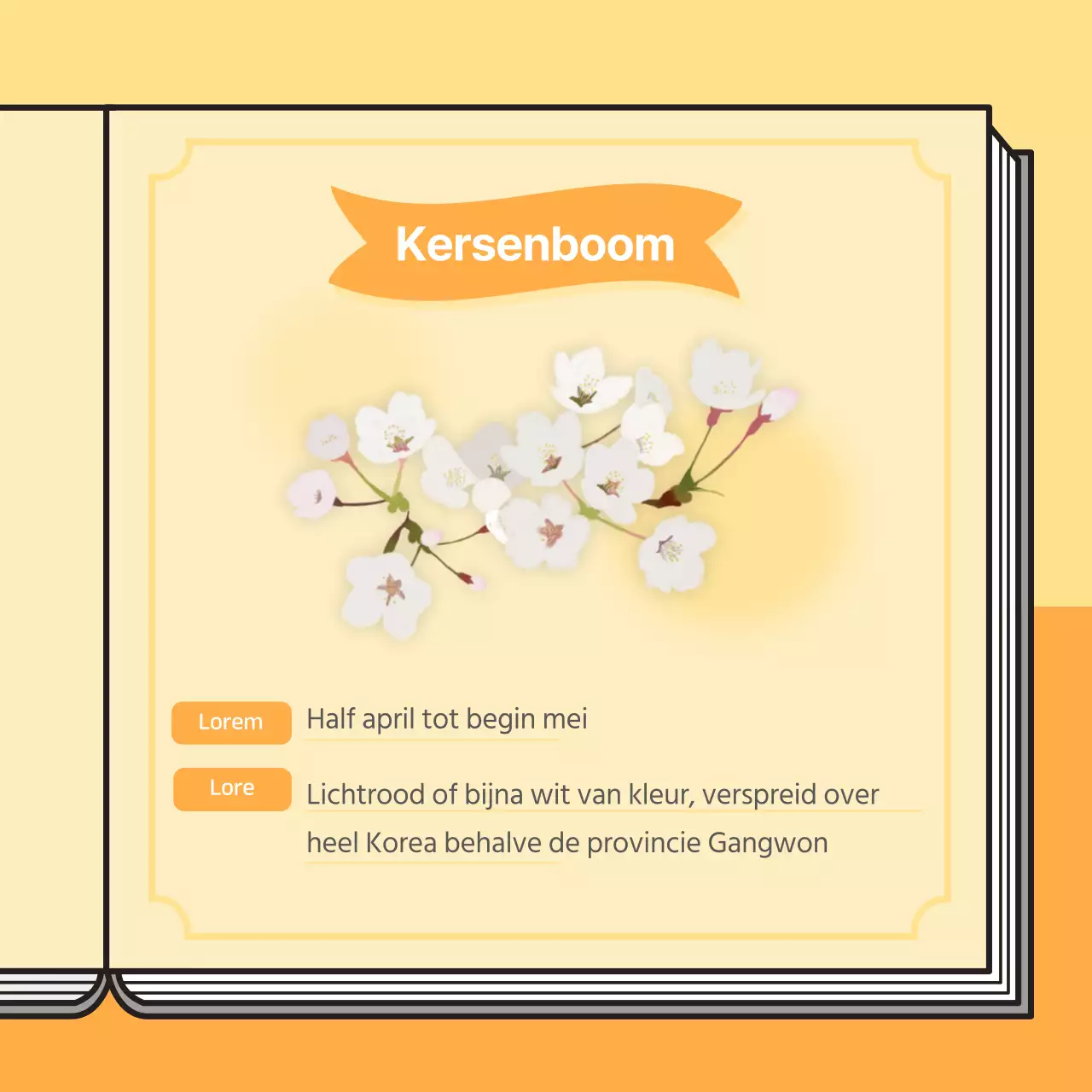 Informatief kersenbloesem boek concept in pastelkleuren