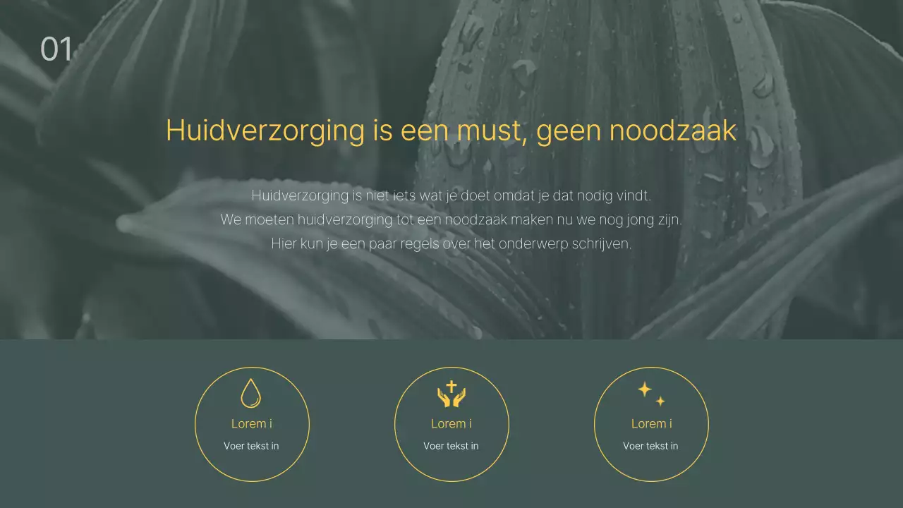 Groene, zwarte toon schoonheidsverzorgingsproductengids
