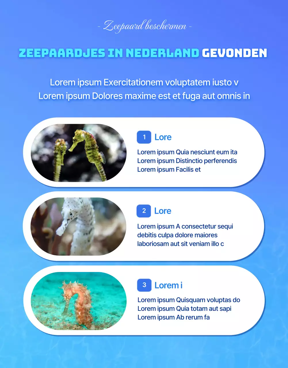 Zeepaardjes, het bedreigde zeedier in het blauwe, koele waterDetails over financiering voor het behoud van zeepaardjes