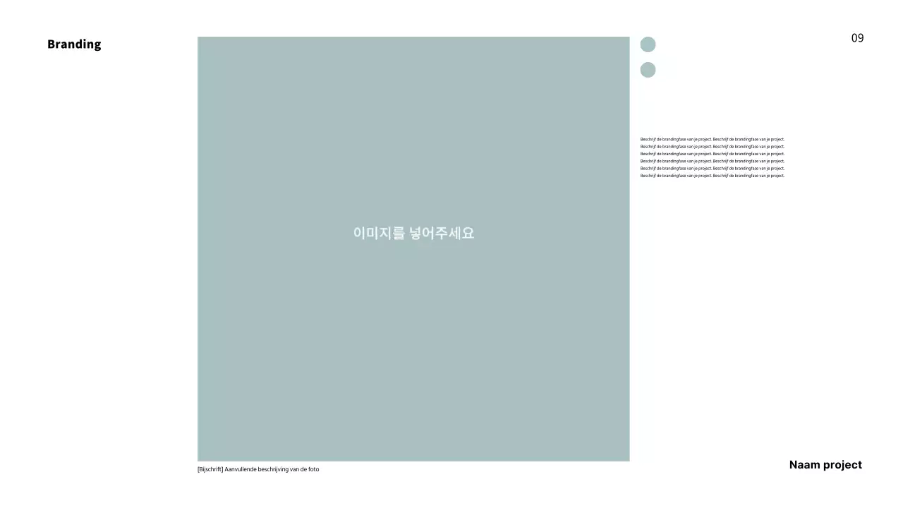 Portfolio met een frisse lay-out