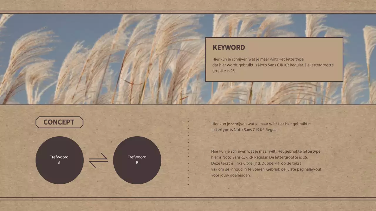 Portfolio-thema met een retro-concept