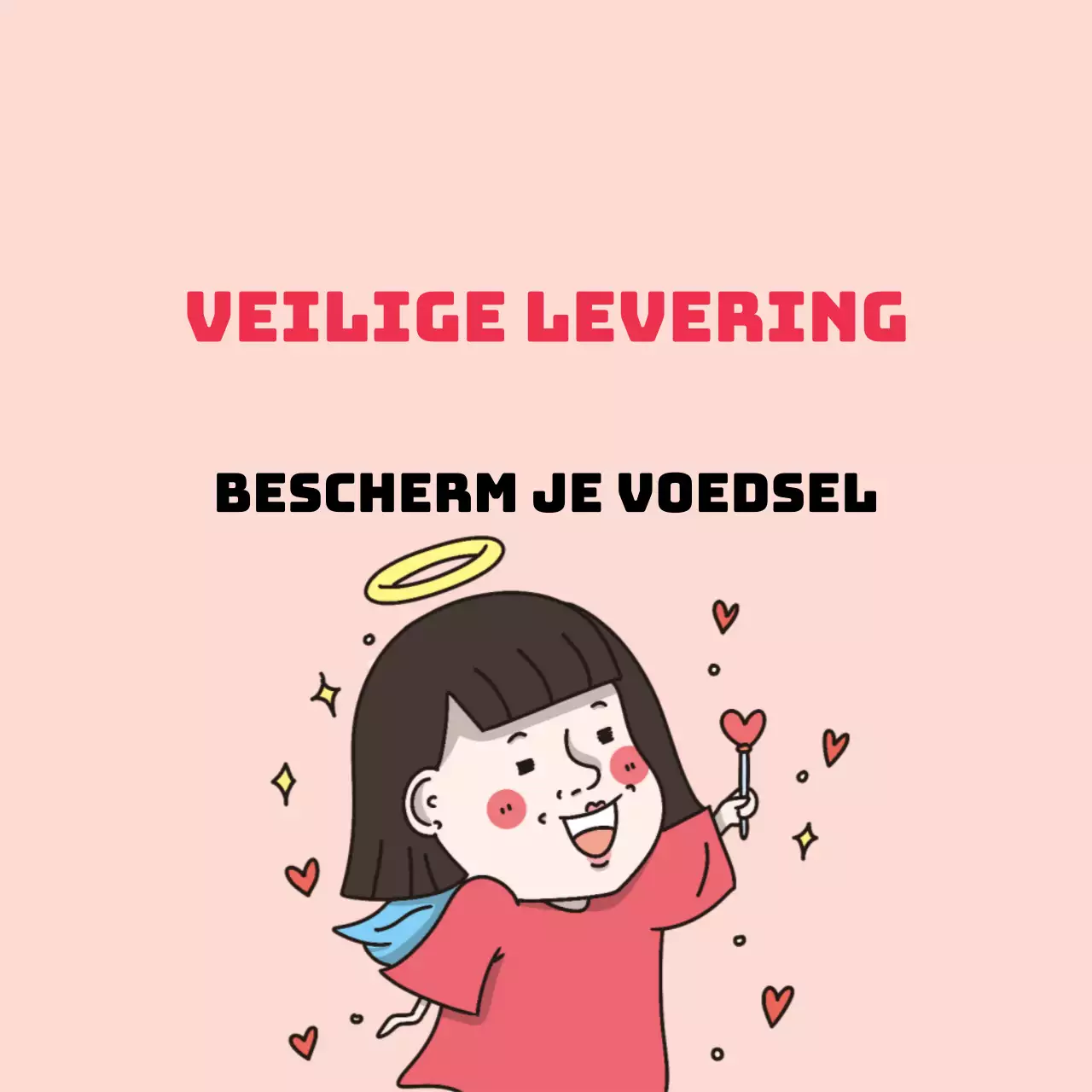 45197/Veiligde levering