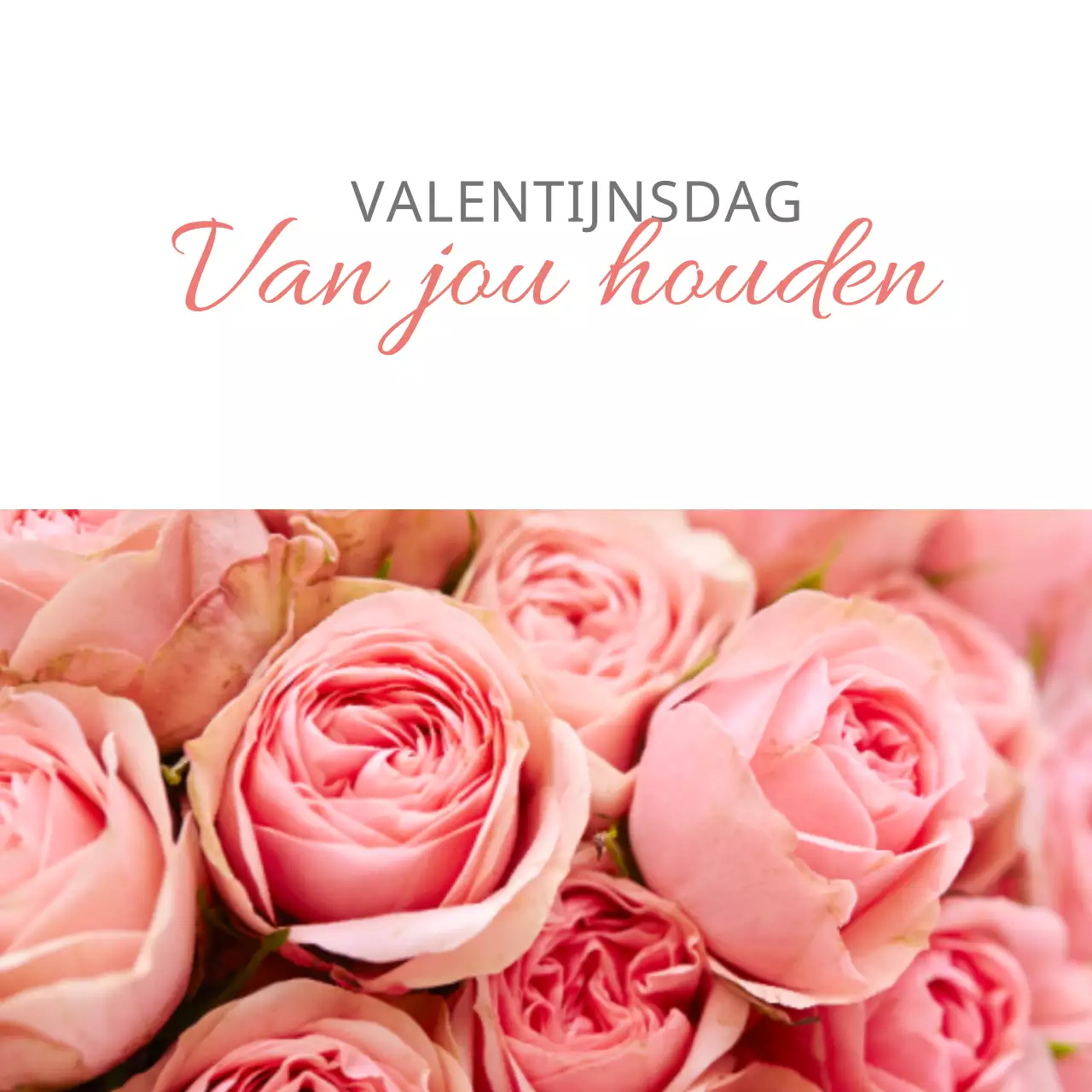 Valentijn01