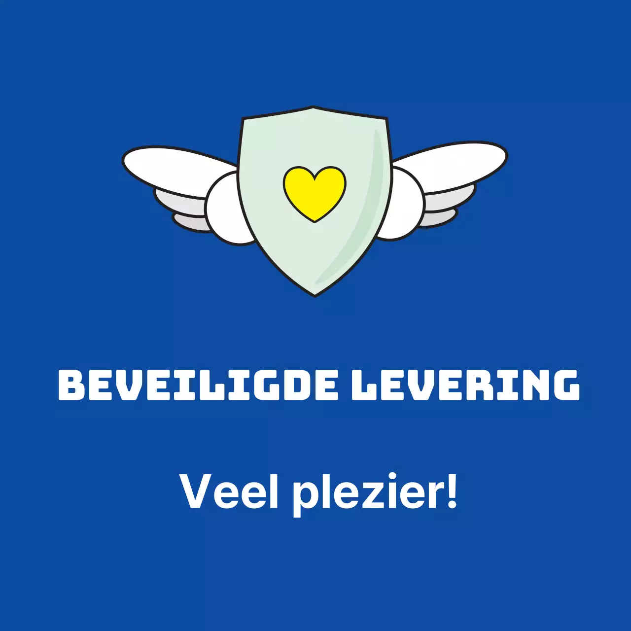 45225/Veiligde levering