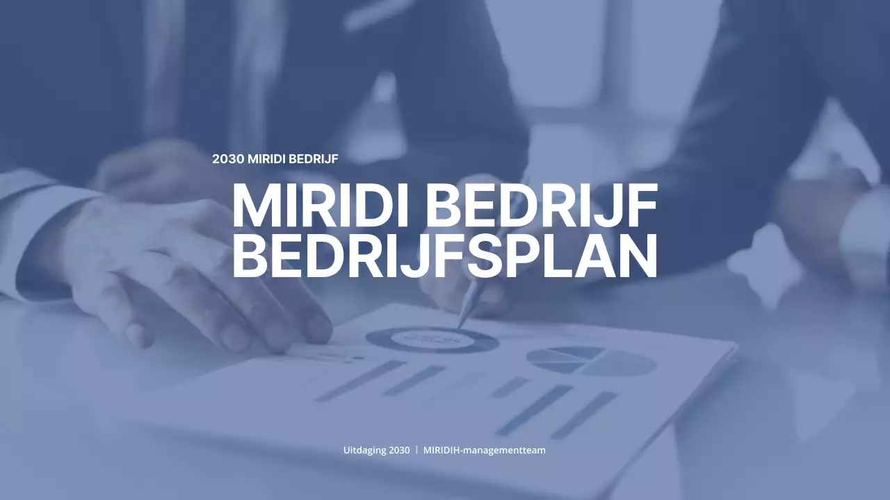 Een eenvoudig ondernemingsplan in marinetinten