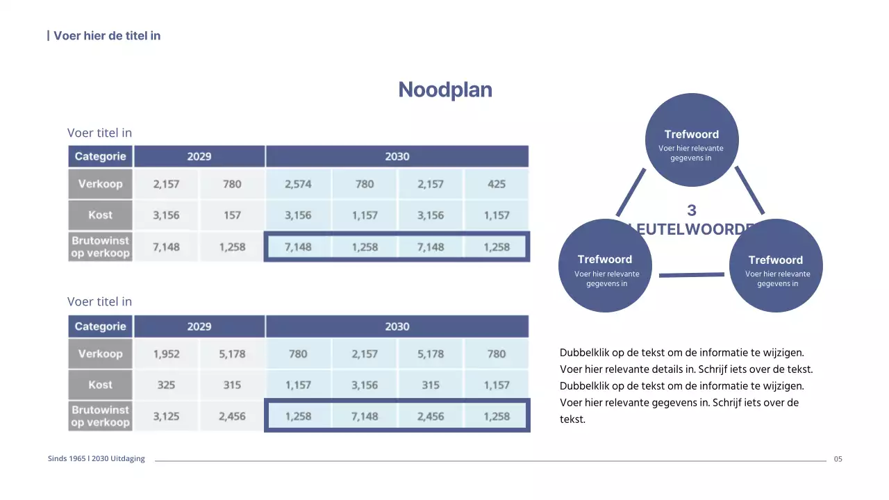 Een eenvoudig ondernemingsplan in marinetinten