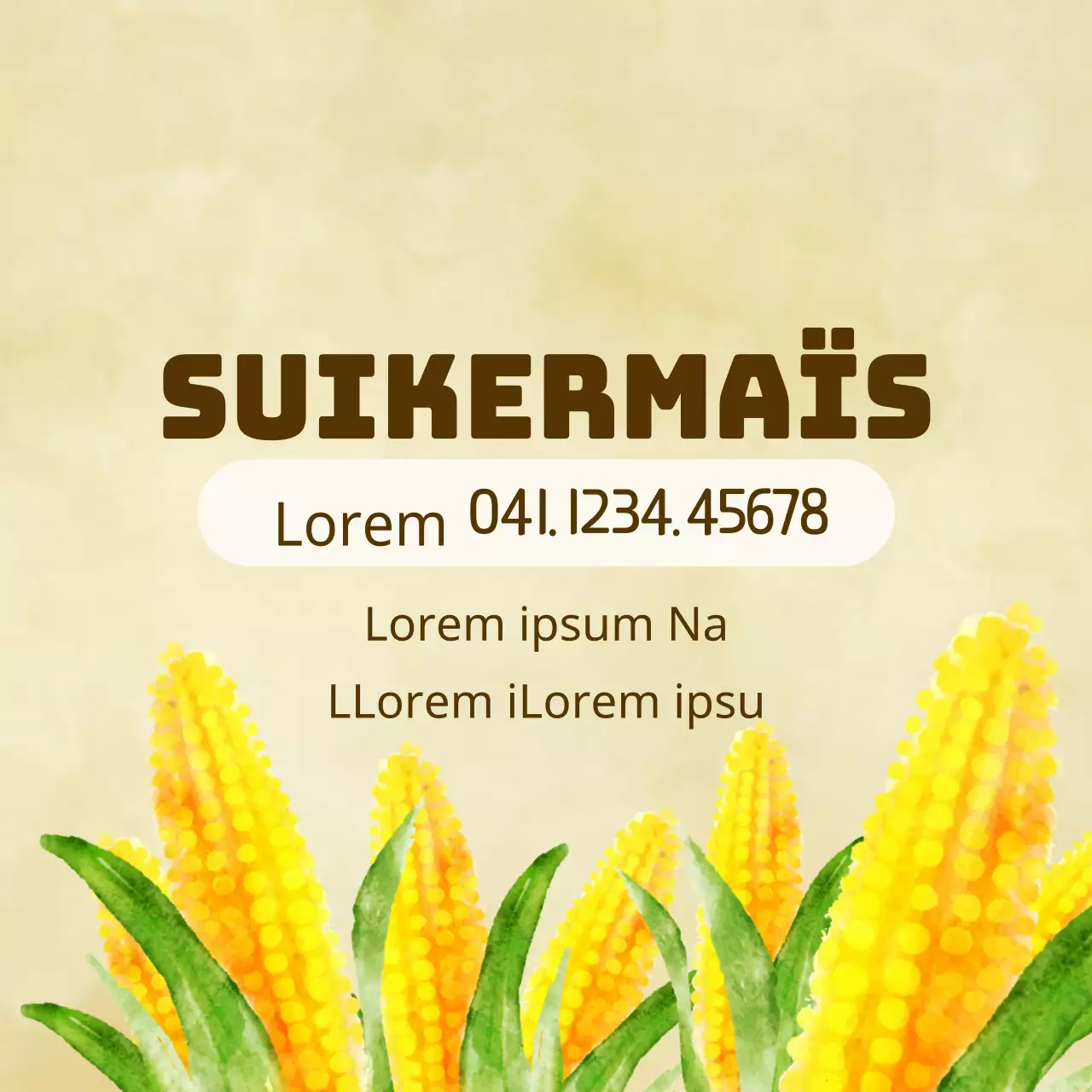 Suikermaïs