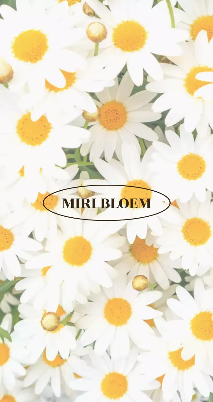 Emotioneel kamille fotoconcept om bloemisten te promoten en informeren