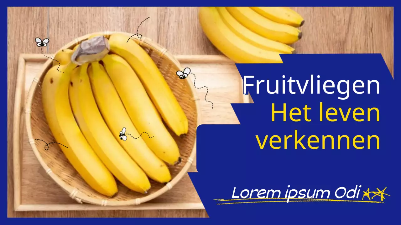 Banaan in blauw en geel Foto Fruitvlieg die het leven onderzoekt