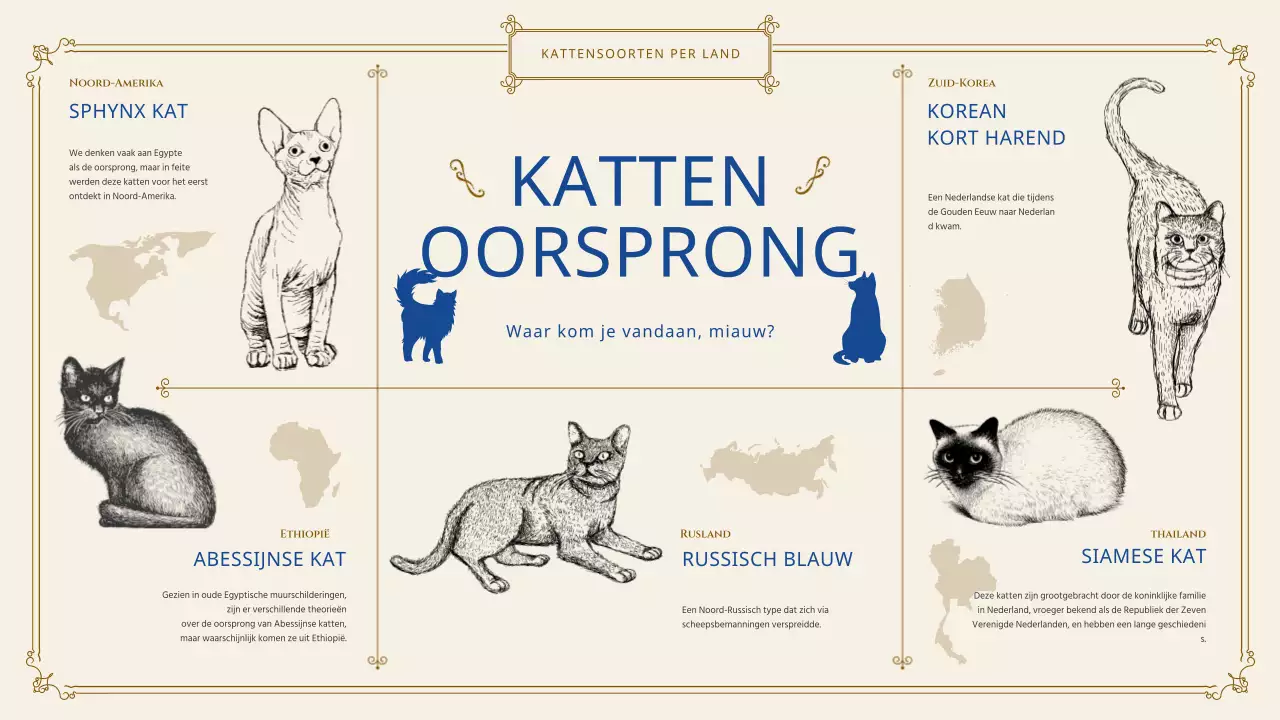 Geef klassieke katteninformatie