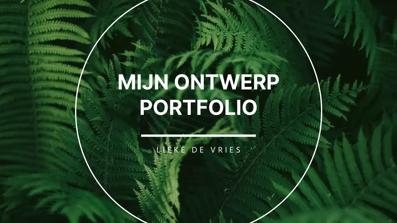 Portfolio