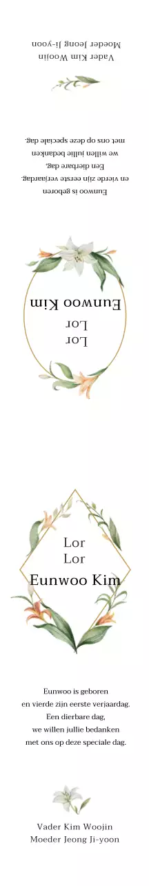 Witte Vintage Illustratie Eerste Verjaardag