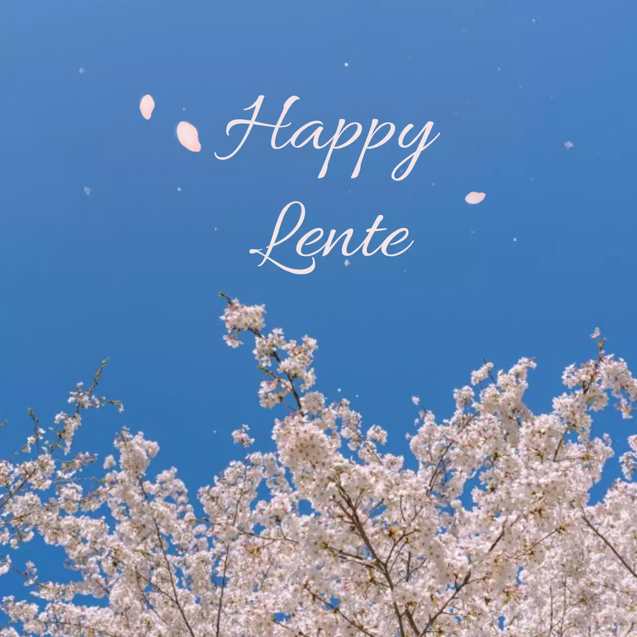 Een op kersenbloesem geïnspireerd café-interieurontwerp