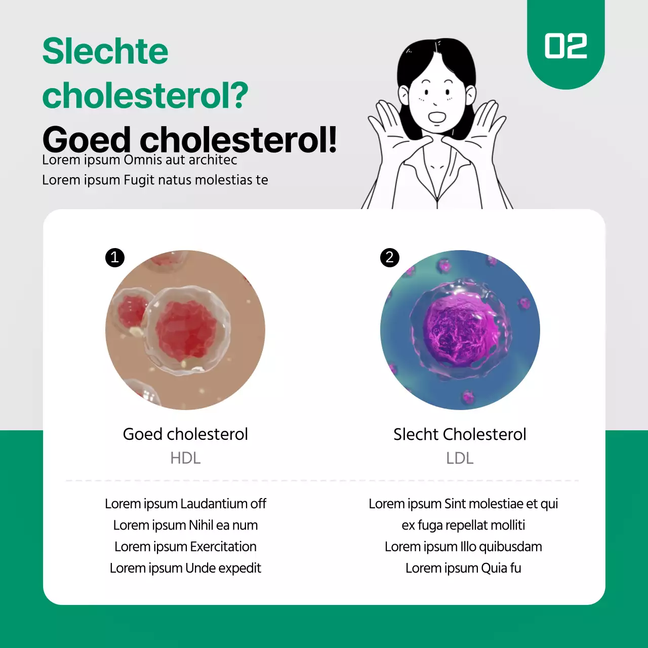 Cholesterol feiten in groene en zwarte kaartNieuws