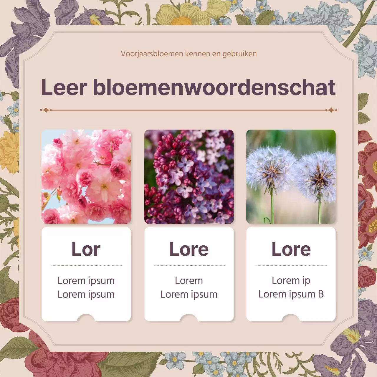 Lente bloem concept van roze vintage bloem volledig concept