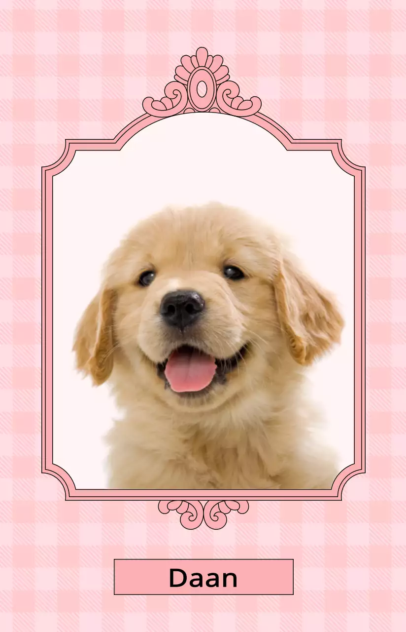 Rechthoekig, luxe antiek frame met een kleurrijke foto van je huisdier