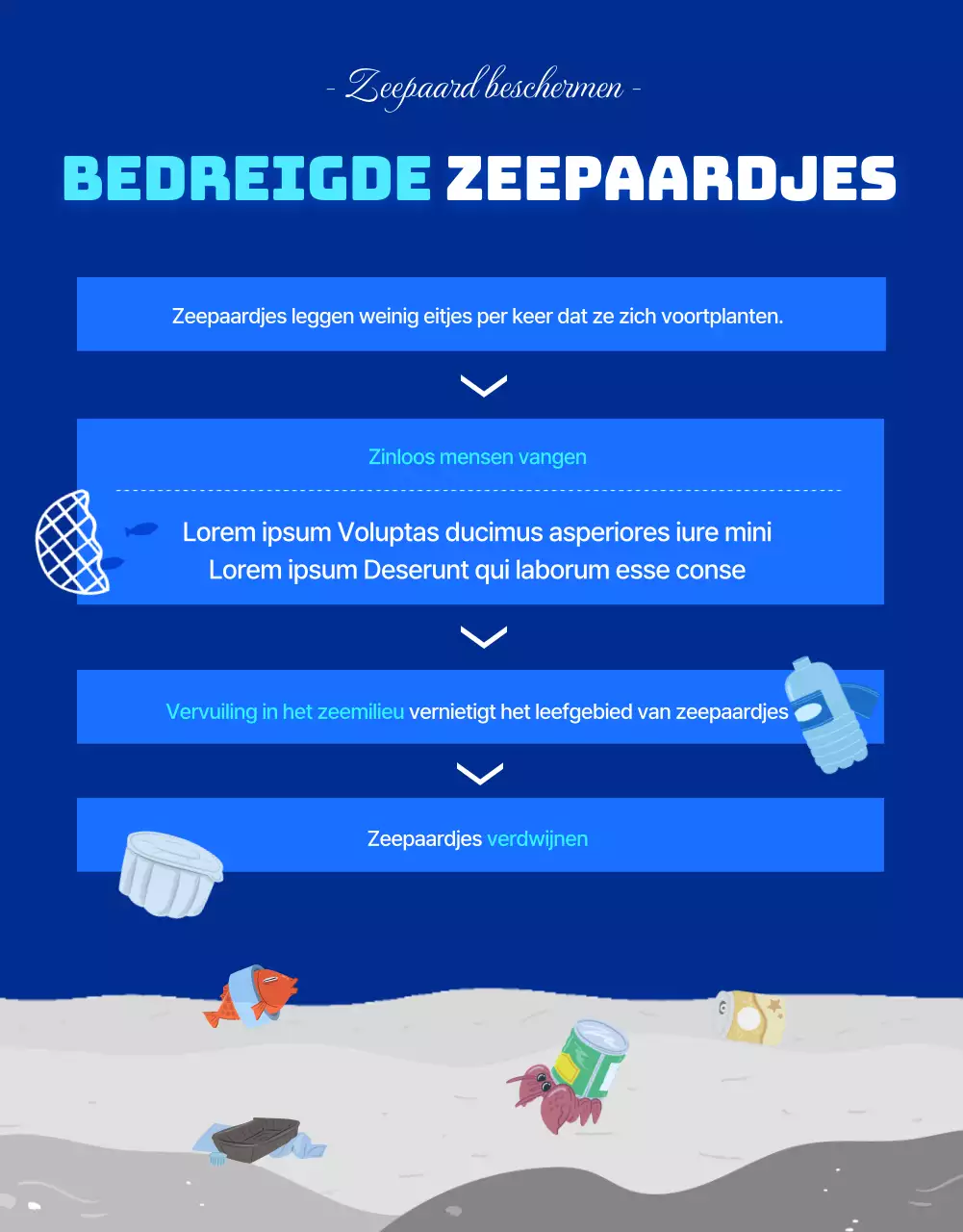 Zeepaardjes, het bedreigde zeedier in het blauwe, koele waterDetails over financiering voor het behoud van zeepaardjes