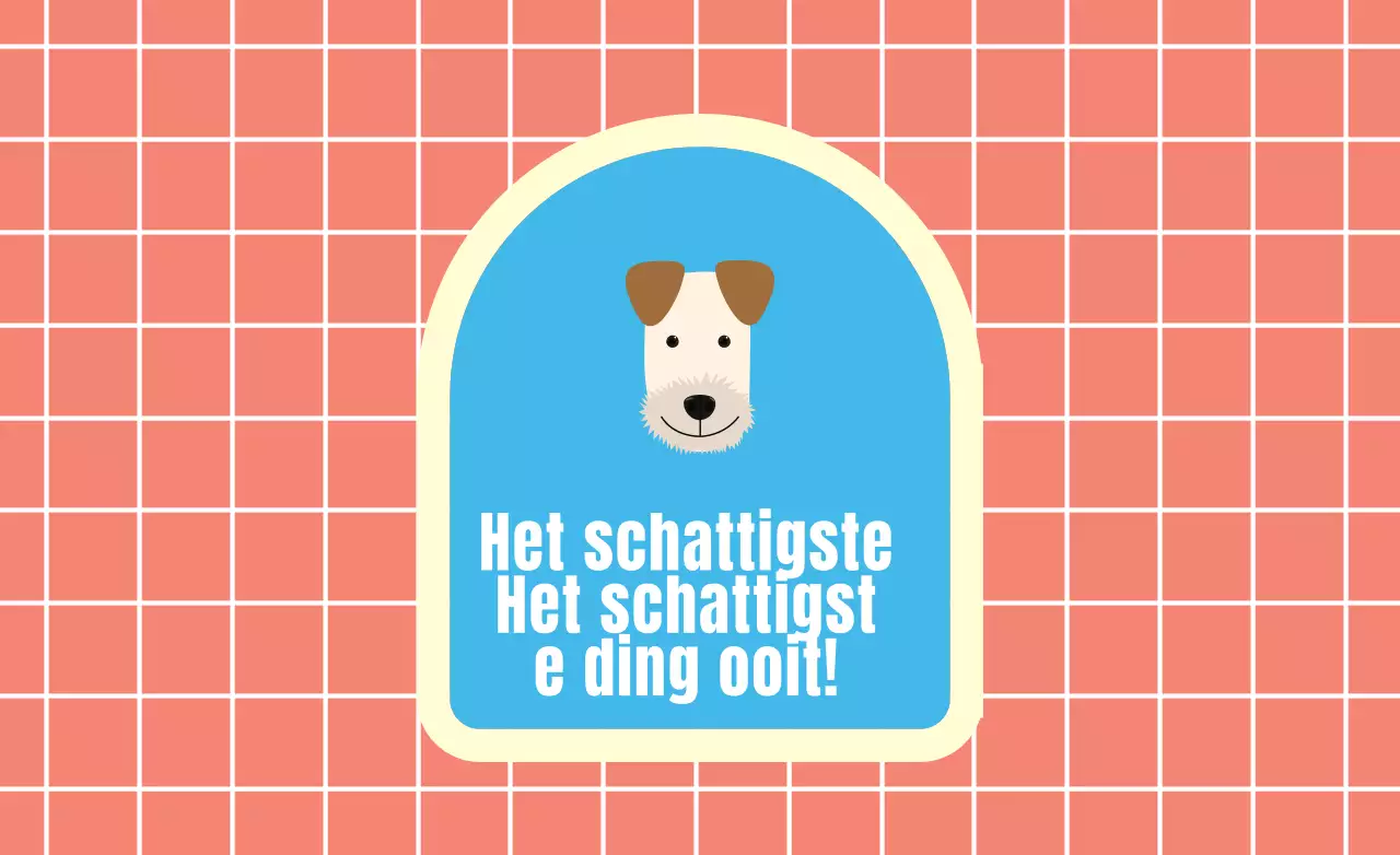 Kralenvanger_Rechthoek02