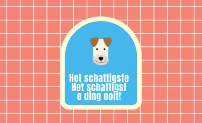 Kralenvanger_Rechthoek02