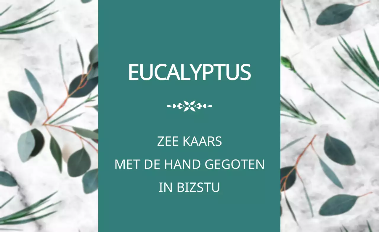 Eucalyptus