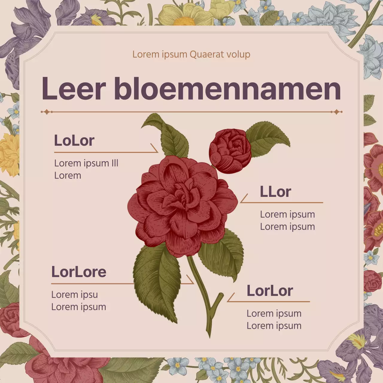 Lente bloem concept van roze vintage bloem volledig concept