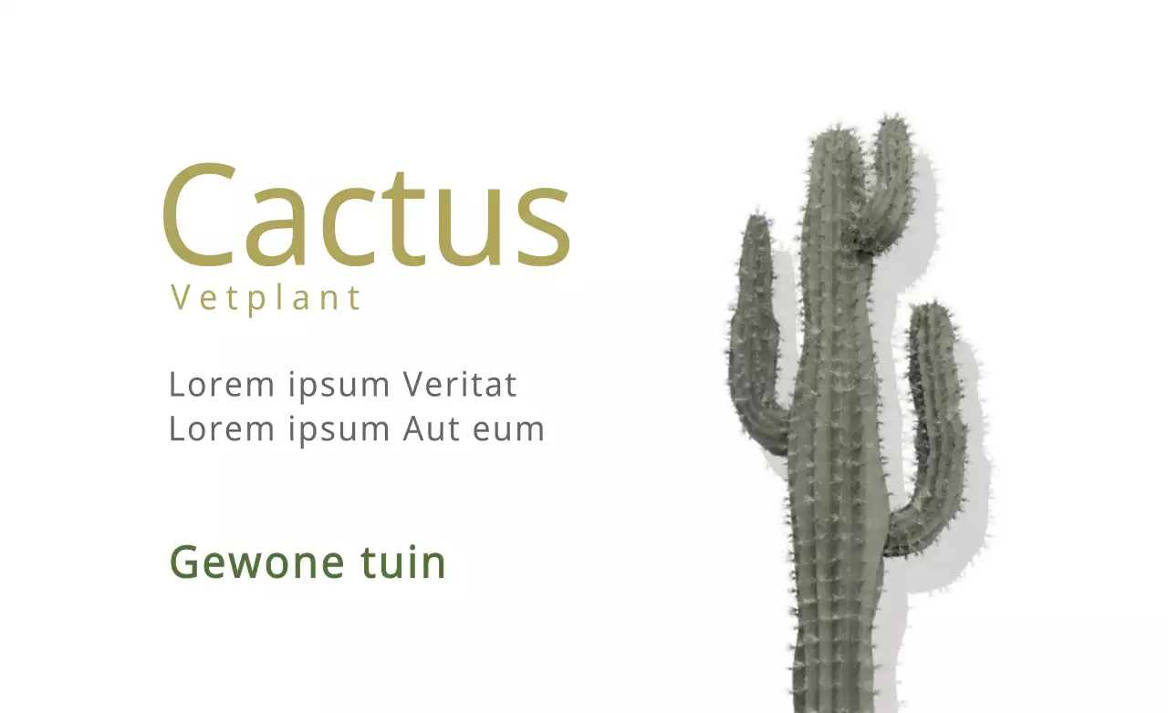 Cactus