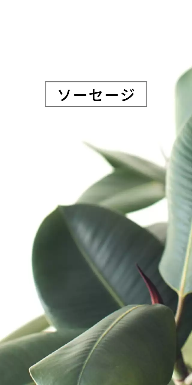 S O S Y E チケット