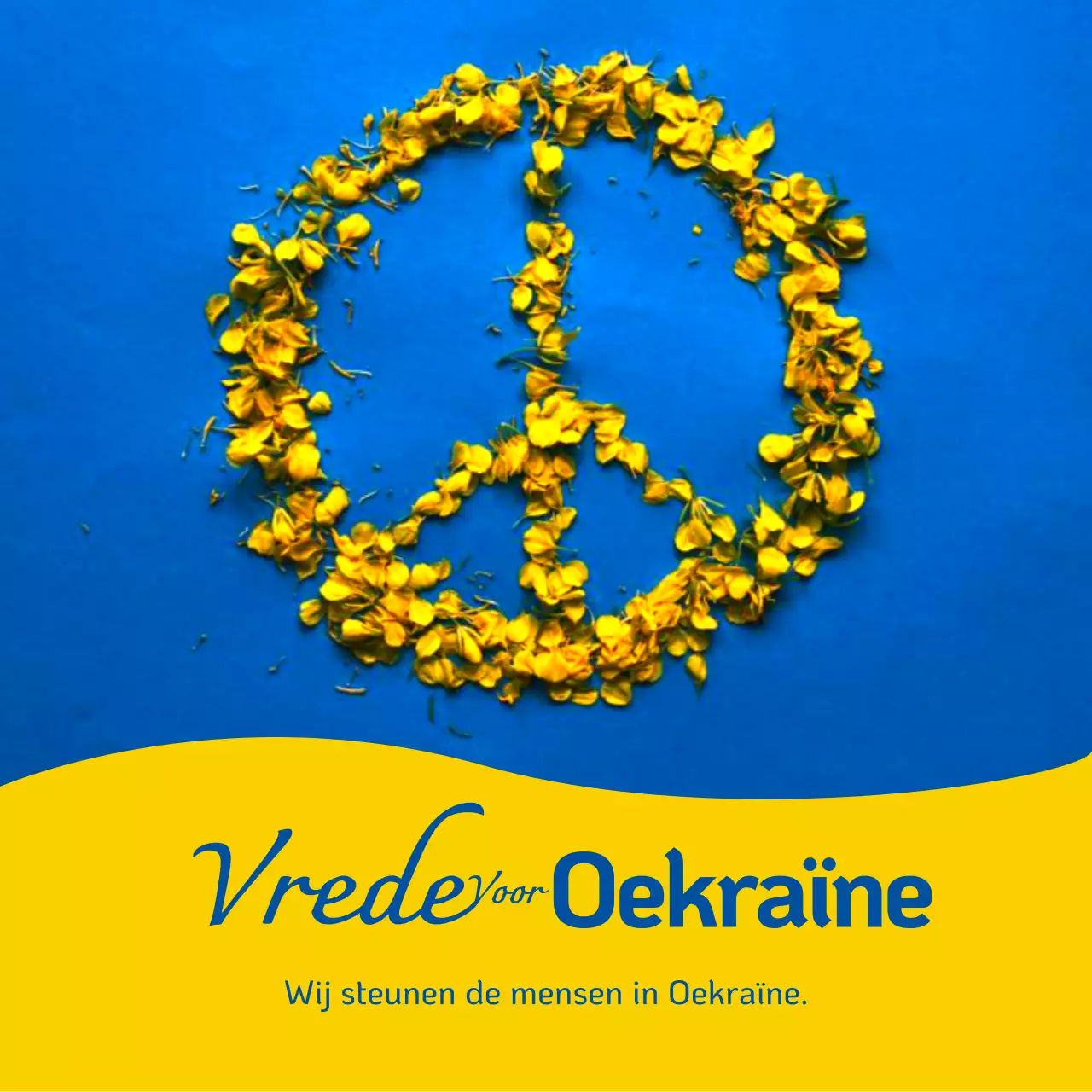 Gele en blauwe bloemenAfbeelding oorlogAnti-oorlog boodschap