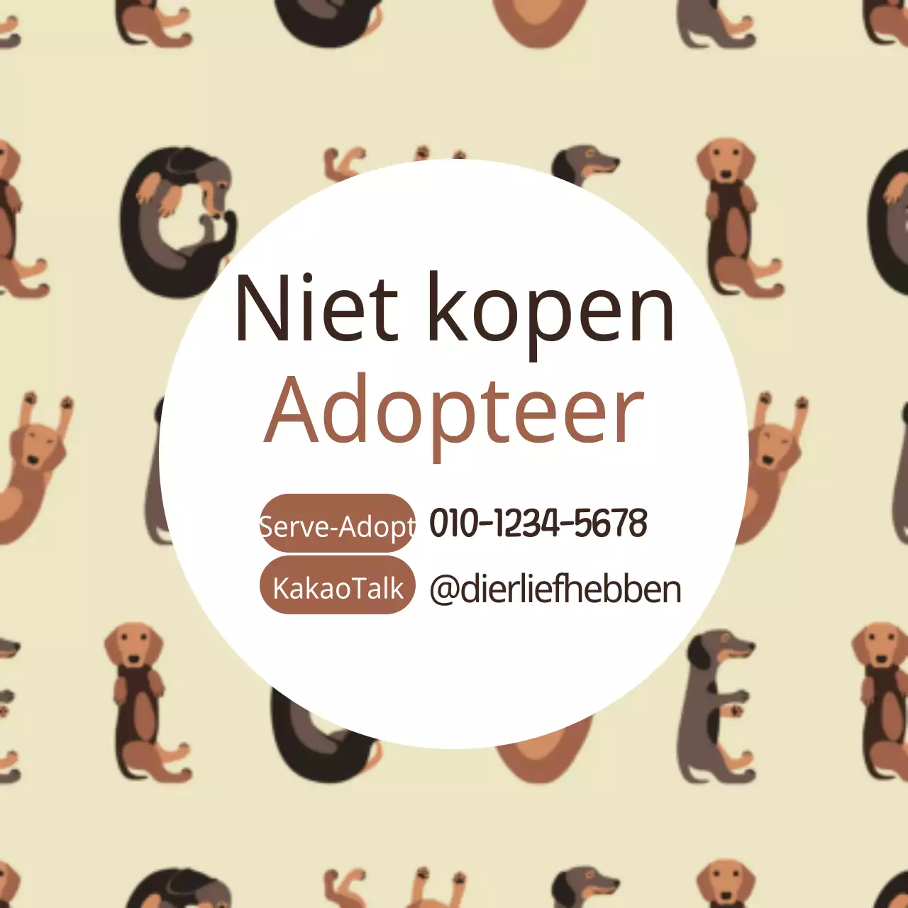 Adopteer een zwerfhond