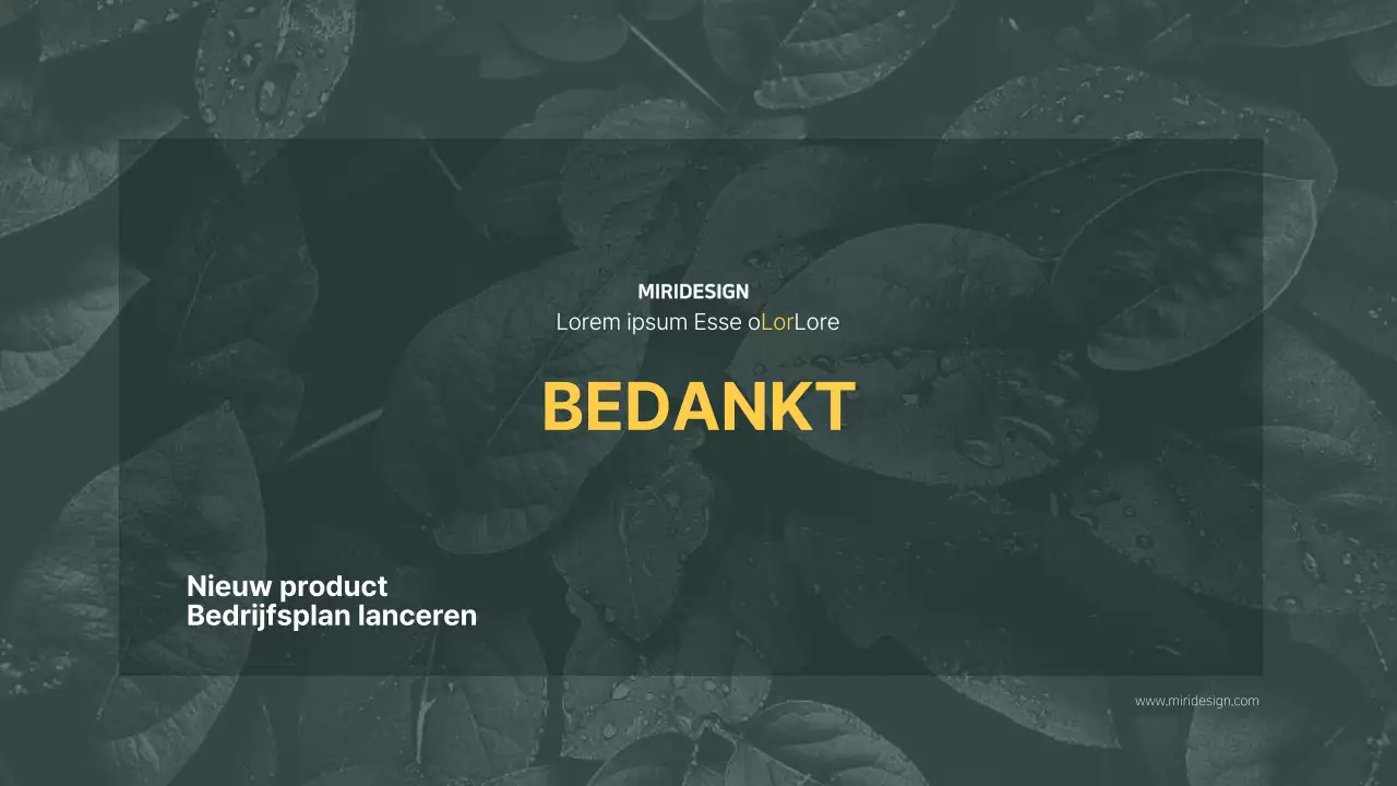 Groene, zwarte toon schoonheidsverzorgingsproductengids