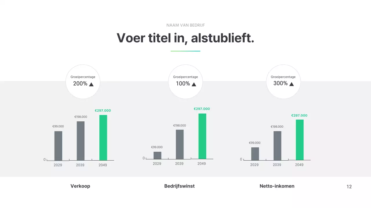 Eenvoudig Bedrijfsprofiel