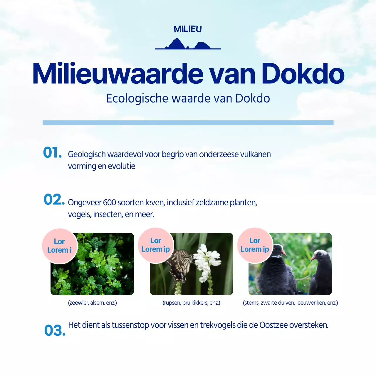 Het lichtblauwe en marineblauwe Dokdo University Outreach Team