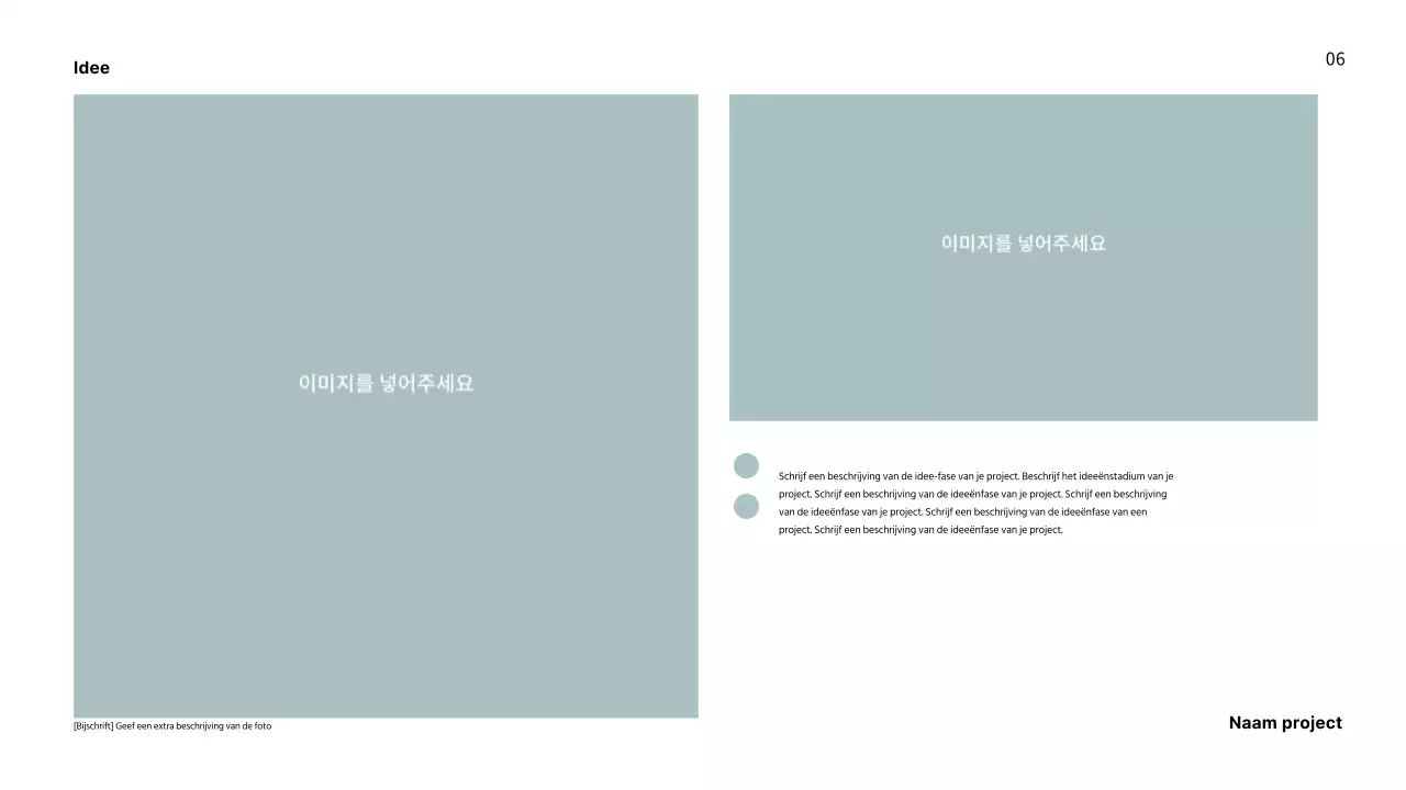 Portfolio met een frisse lay-out