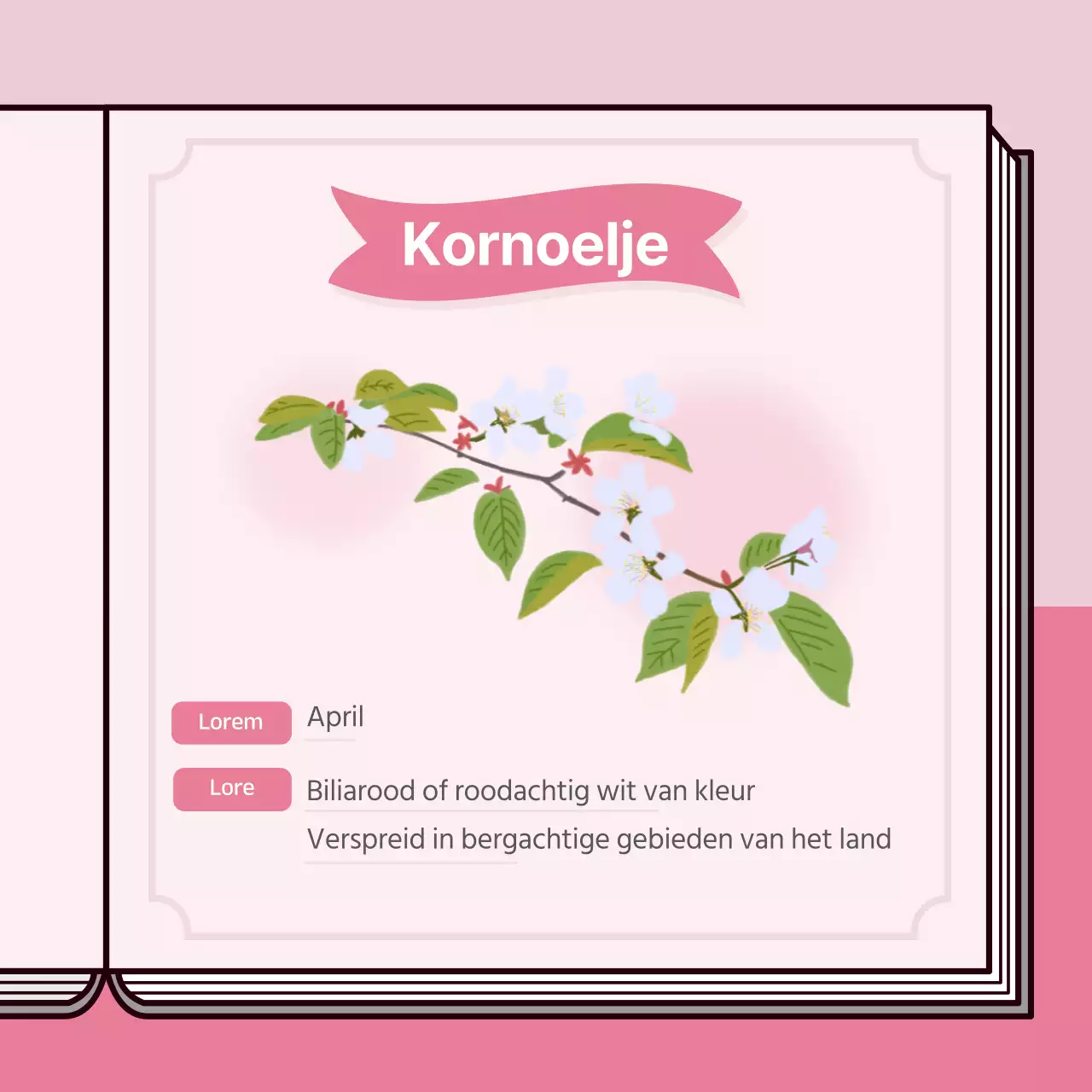 Informatief kersenbloesem boek concept in pastelkleuren