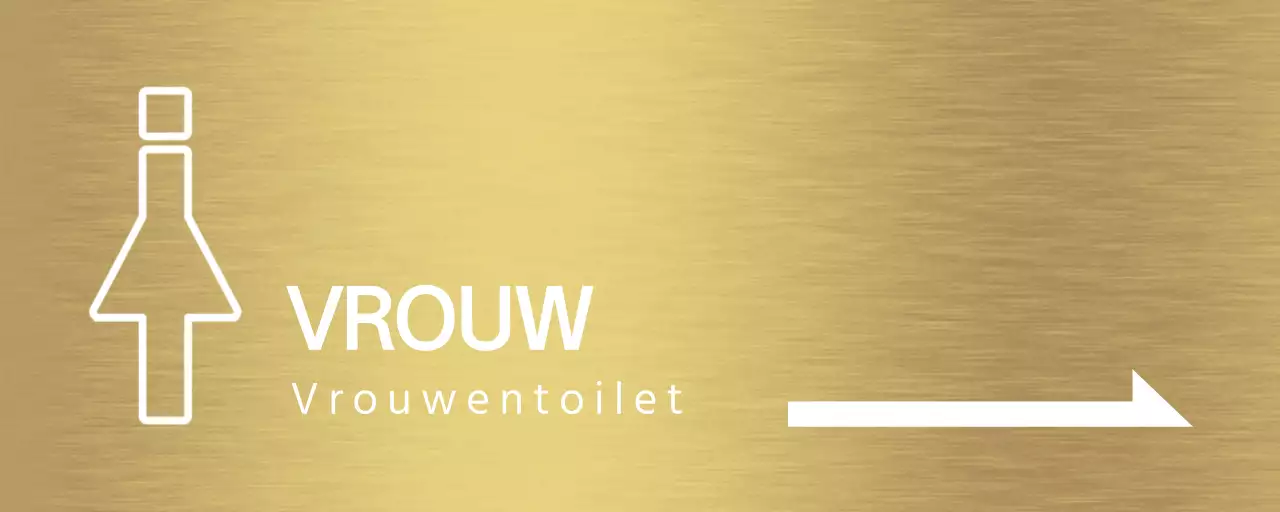 Toiletinstructies met witte menselijke pictogrammen en pijlen