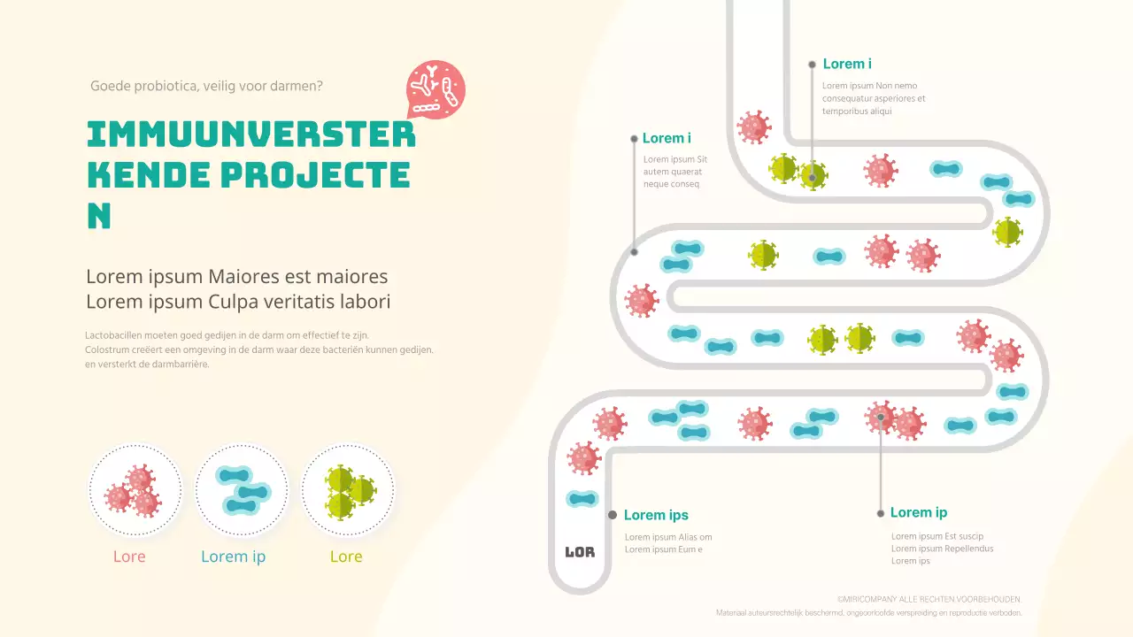 Lactobacillus stappenplan voor immuniteit