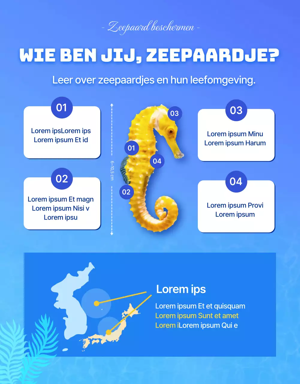 Zeepaardjes, het bedreigde zeedier in het blauwe, koele waterDetails over financiering voor het behoud van zeepaardjes