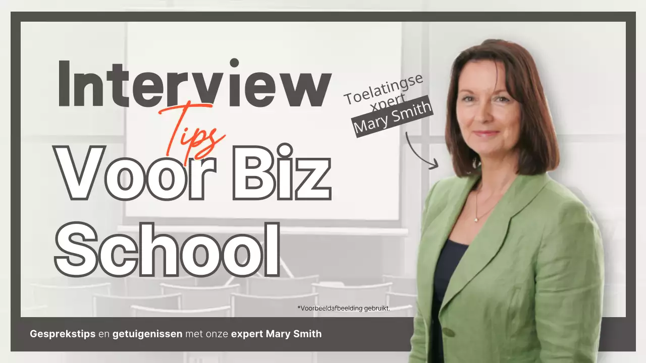 Nette monotone miniaturen met tips van experts voor het slagen en interviewen