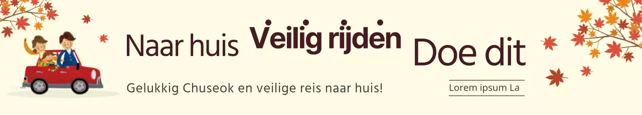 Veilig naar huis rijden