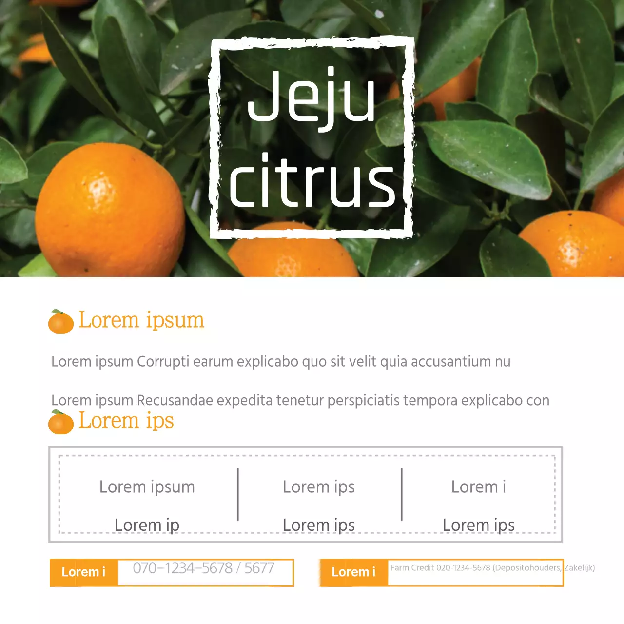 Jeju Citrusvruchten