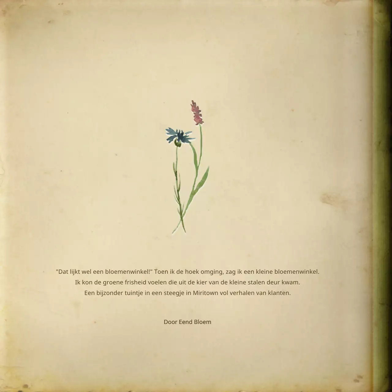 Emotioneel bundelpakket met gebroken wit, vervaagd aquarel fictieboekconcept